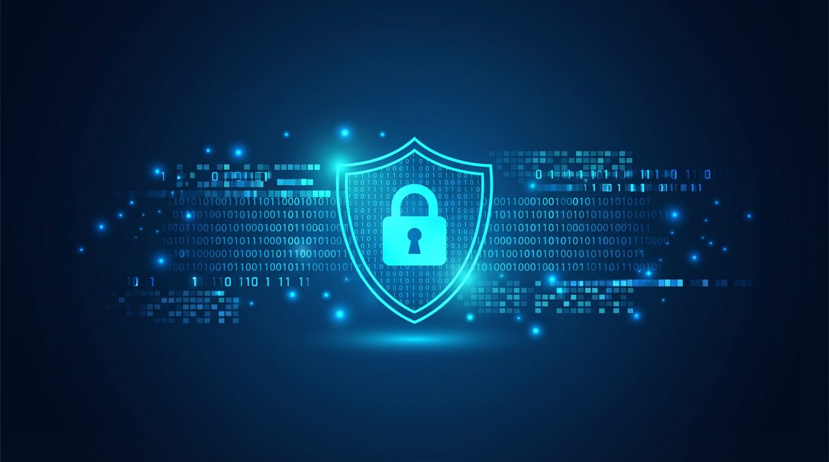 开发加速器隐私安全保护